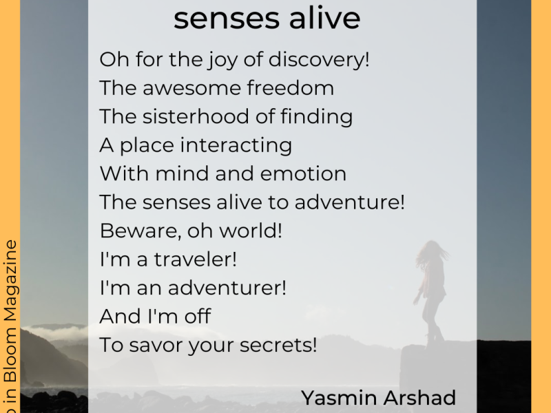 Senses Alive, by yasmin arshad